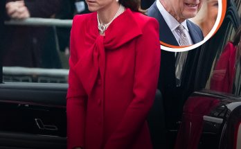 Fans Say King Charles 'Totally Ignored' Princess Catherine During Greetings at the Commonwealth Day Service