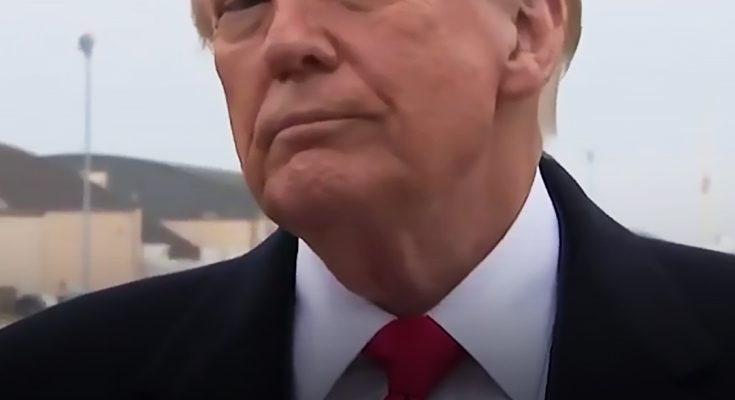 Donald Trump Gets Hit in the Face by a Reporter During a Press Conference – Video