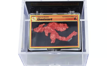 'Cheetozard,' Viral Pokémon-Shaped Cheeto, Sells for Nearly $88K at Auction