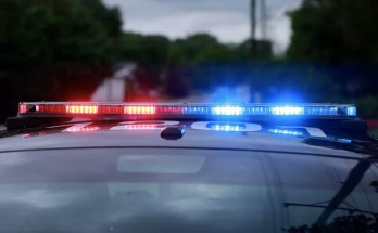 7 Dead After Tourist Van and Truck Crash Near Yellowstone National Park